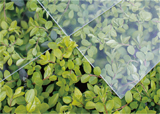 Solar Tempered Glass Greenhouse Glass with More Than 91.5% Light Transmittance
