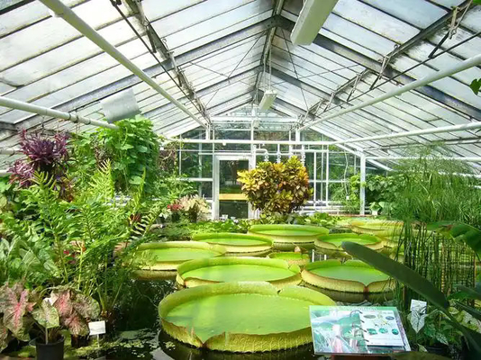 4mm tempered greenhouse glass