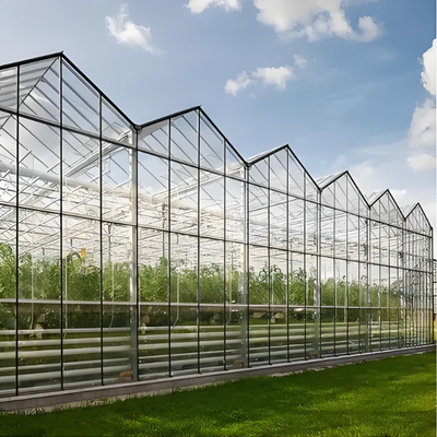 Tempered 4mm Greenhouse Glass for Agriculture for Exporting