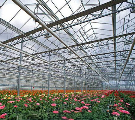 Glass greenhouse vegetable and flower planting can be used out of season