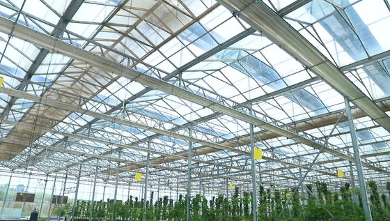 Customizable  Patterned Glass for Building Greenhouse for Vegetables and Flowers