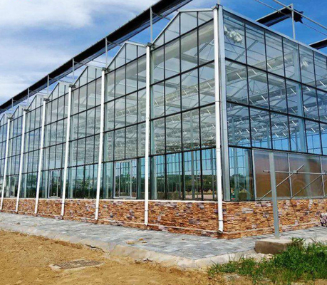 4mm patterned Glass for Greenhouse  with Competitive Price