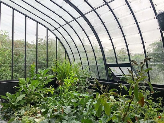 Tempered 4mm Greenhouse Roof  Glass for Vagetables and Plants