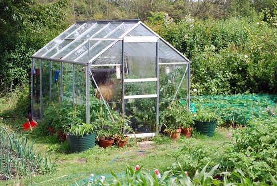 4mm Superior Tempered Patterned Glass Panel for  Plants Growing Greenhouse