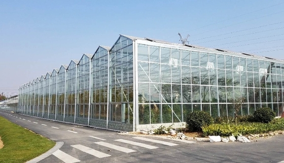 4mm Toughened Glass for  Vegetable Plants Growing Greenhouse and Garden Glass House