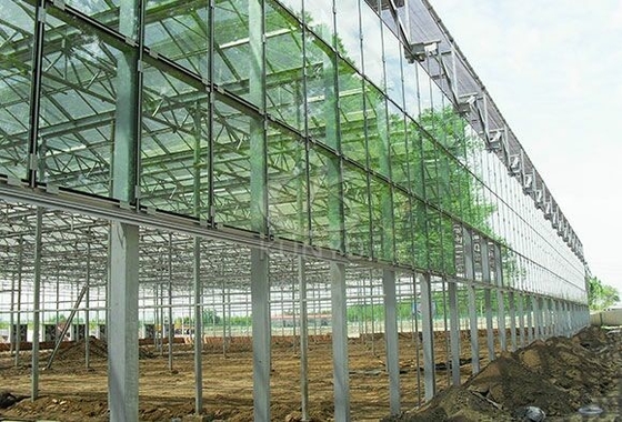 4mm Toughened Glass for  Vegetable Plants Growing Greenhouse